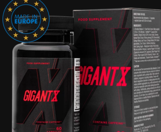 What is GigantX  and its Benefits