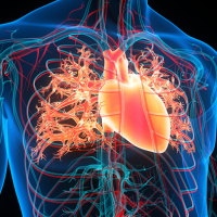 Lipid Control